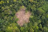 Conférence régionale sur la criminalité environnementale et le conflit homme-faune : une (…)
