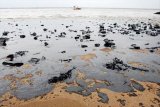 Point de situation sur la pollution aux hydrocarbures à Mayumba