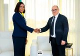 Le groupe Apollo Africa en audience au cabinet de la Première Dame Zita Oligui Nguema : vers un (…)