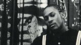 After the Fall : The Death and Resurrection of D'Angelo and the Hip-Hop Soul